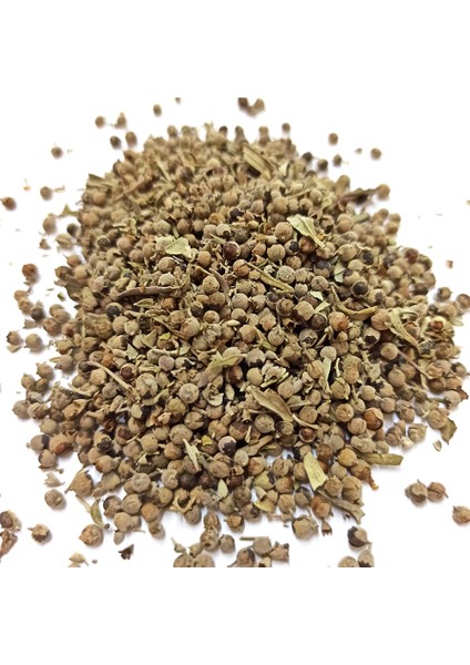 Hayıt Tohumu 100 gr fiyatları