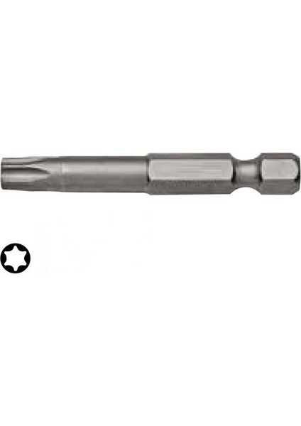 CB825B Torx Uçlu Bits