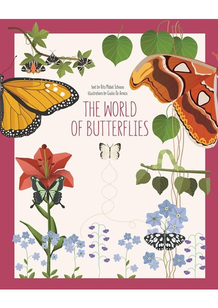 The World Of Butterflies