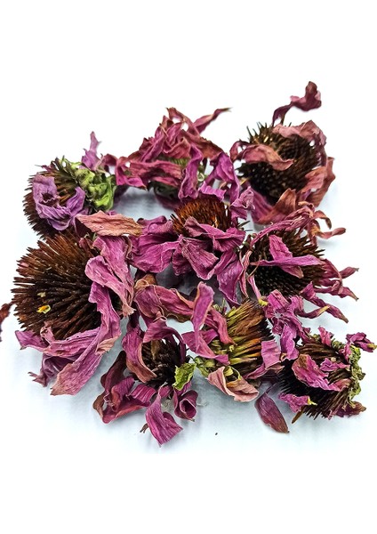 Ekinezya Çiçeği 100 gr fiyatları