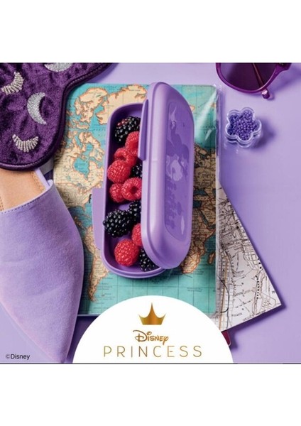 Prenses Atıştırmalık Kabı modelleri