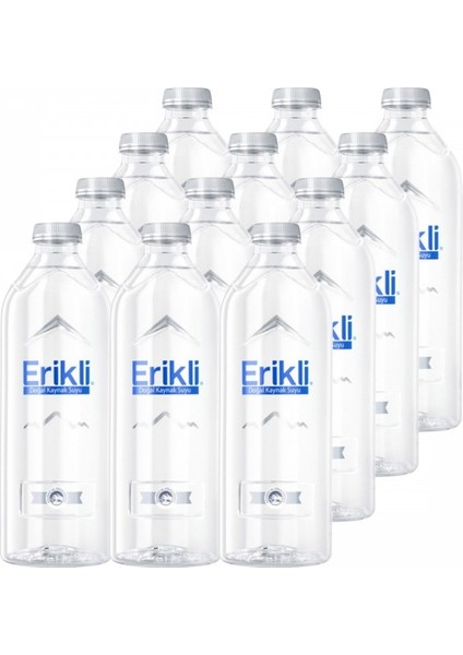 Premium Şişe 330 ml 72'li