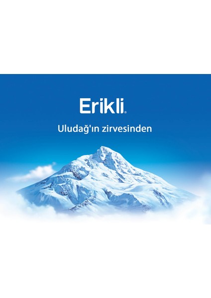 Premium Şişe 330 ml 72'li