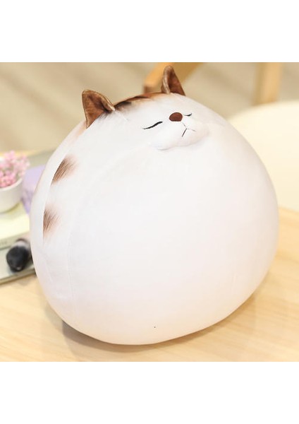 Kedi Peluş Hayvanlar (Yurt Dışından)