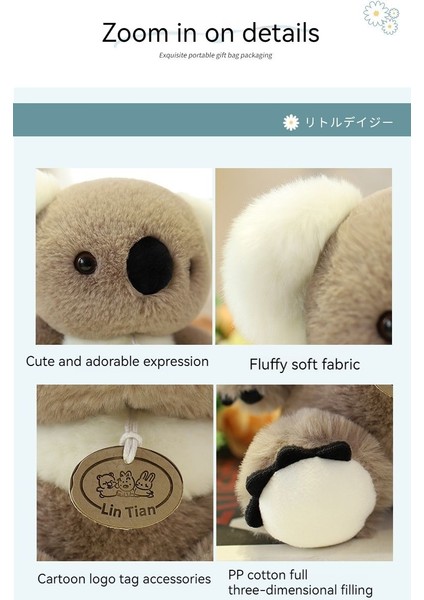 Avustralya Koala Koala Peluş Oyuncak Bebek (Yurt Dışından)