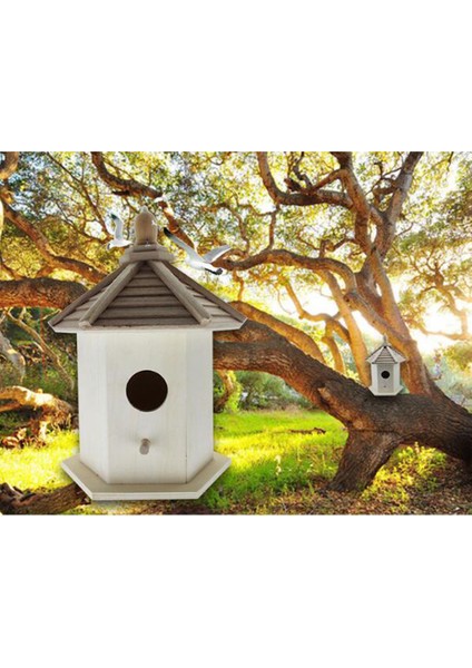 Yuvarlak Şekilli Giriş Deliği ile Asma Ahşap Kuşlar Yuvalama Kutu Evi modelleri