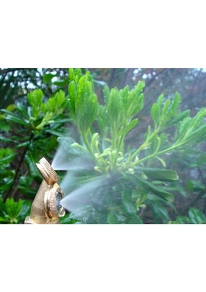 2 Pirinç Kafalı Püskürtme Nozul Sulama Sprinkler modelleri