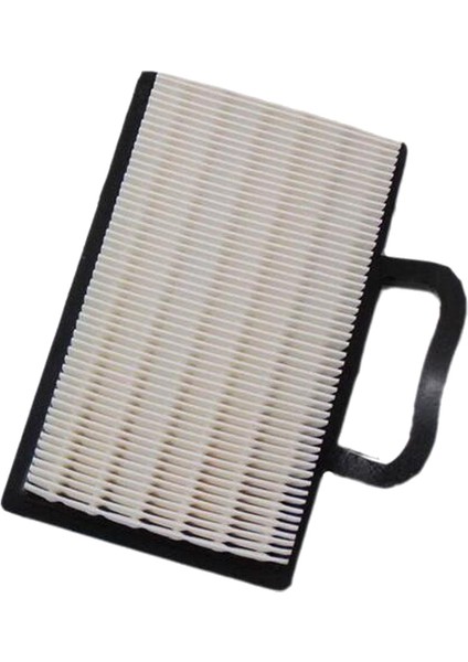 Yedek Hava Filtresi ve Ön Filtre 499486S 273638 Çim Makinesi Aksesuarı modelleri