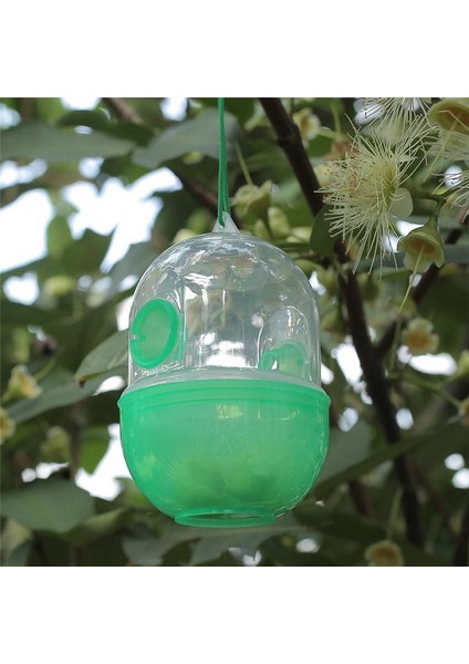 Bee Wasp Hornet Beehive Tuzağı Catcher Tuzakçı Yeşil Asılı