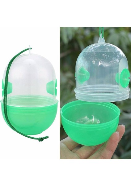 Bee Wasp Hornet Beehive Tuzağı Catcher Tuzakçı Yeşil Asılı