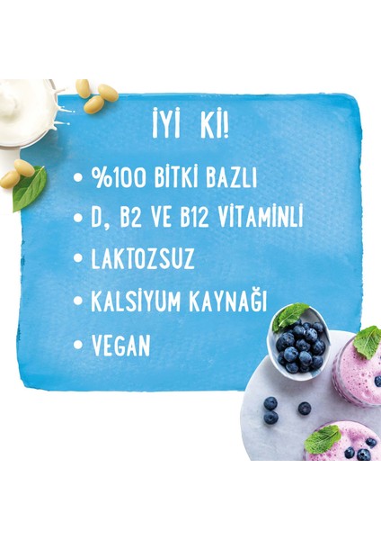 4’lü Mix Set – Badem Sütü & Hindistan Cevizi Sütü 4 x 1 lt