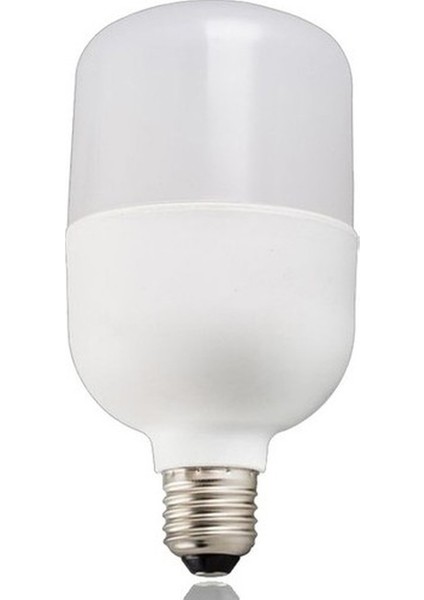 20W Torch Ampül