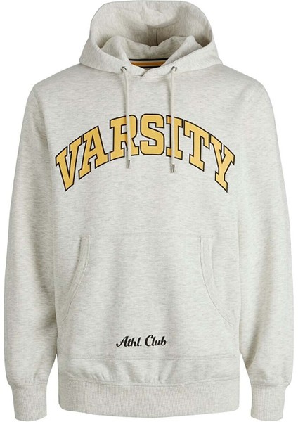 Erkek Kolej Sweatshirt - 12207368 modelleri