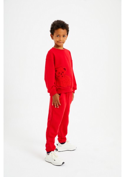 Kabartma Ayıcık Nakışlı Kuddly Eşofman Takım fiyatları