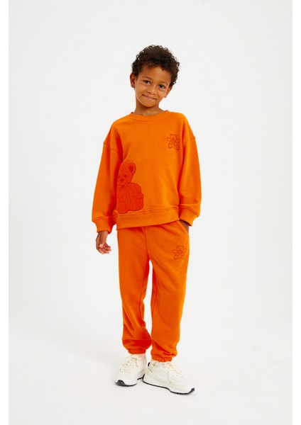 Kabartma Ayıcık Nakışlı Kuddly Eşofman Takım fiyatları