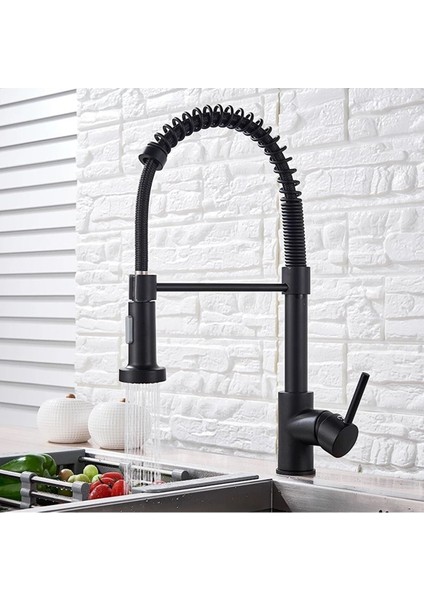 Siyah Endüstriyel Mutfak Evye Bataryası fiyatları