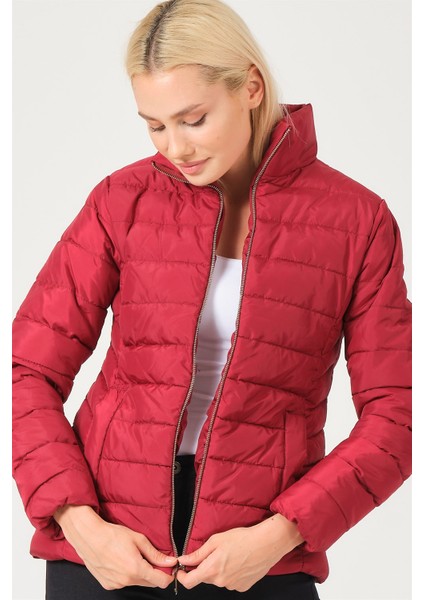 Z6746 Dewberry Bayan Mont-Bordo fırsatları