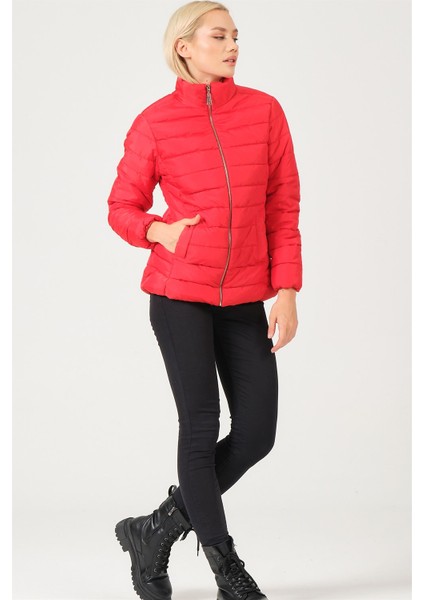 Z6746 Dewberry Bayan Mont-Kırmızı indirimleri