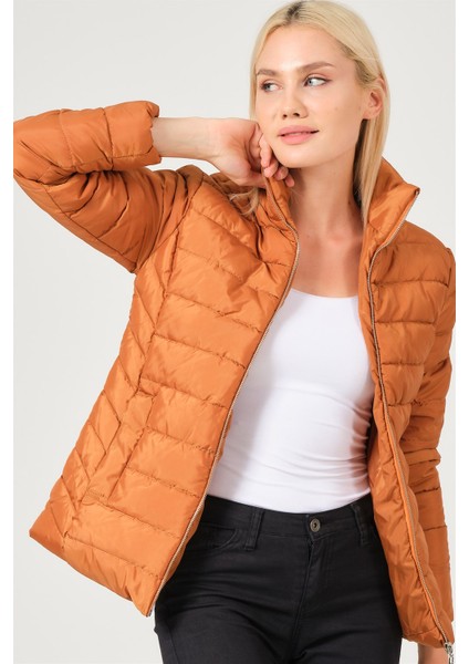 Z6746 Dewberry Bayan Mont-Taba