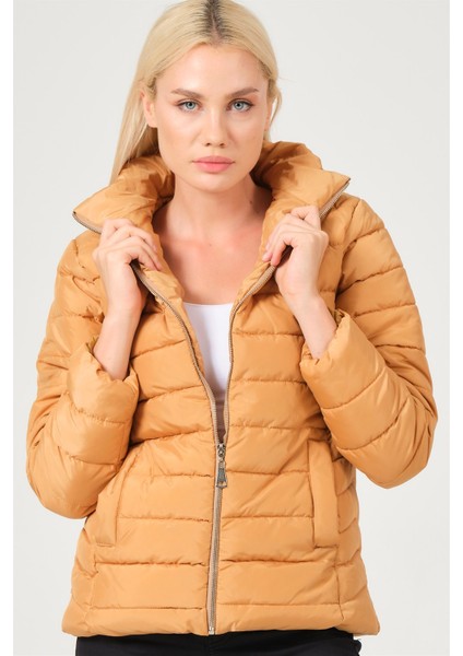 Z6746 Dewberry Bayan Mont-Vizon