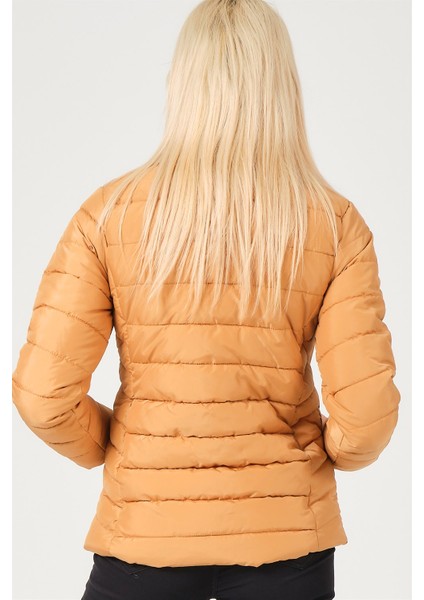 Z6746 Dewberry Bayan Mont-Vizon fiyatları