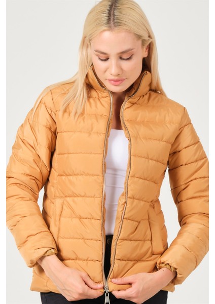 Z6746 Dewberry Bayan Mont-Vizon modelleri