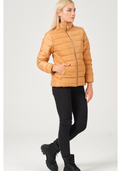 Z6746 Dewberry Bayan Mont-Vizon indirimleri