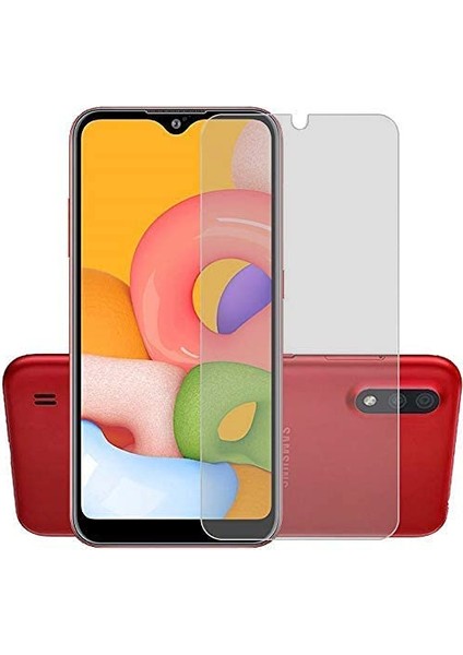 Samsung Galaxy A01 Nano Cam Ekran Koruyucu