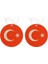 Araç Asma Koku Türk Bayrağı Tasarım 5li Paket 1
