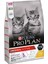 Cat Kitten Tavuklu 10 kg 1