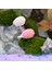 4 Adet Mikro Peyzaj Mini Reçine Bonsai Diy Bahçe Dekor Renkli Kirpi(Yurt Dışından) 5