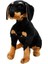 01410 Sunman Peluş Rottweiler Köpek 68 cm 1