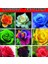 Daygarden 25 Adet Sarı Ters Lale Çiçeği Tohumu + 10 Adet Hediye K.gül Çiçek Tohumu 5