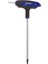 Rıco T Tip Allen Torx T10x100 mm 1