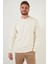 Regular Fit Bisiklet Yaka Pamuklu Sweat Erkek Sweat 5905337 2
