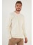 Regular Fit Bisiklet Yaka Pamuklu Sweat Erkek Sweat 5905337 4