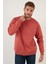 Regular Fit Bisiklet Yaka Pamuklu İçi Tüylü Yumuşak Şardonlu Sweat Erkek SWEAT 5905255 1