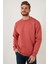 Regular Fit Bisiklet Yaka Pamuklu İçi Tüylü Yumuşak Şardonlu Sweat Erkek SWEAT 5905255 2
