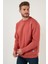 Regular Fit Bisiklet Yaka Pamuklu İçi Tüylü Yumuşak Şardonlu Sweat Erkek SWEAT 5905255 3