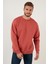 Regular Fit Bisiklet Yaka Pamuklu İçi Tüylü Yumuşak Şardonlu Sweat Erkek SWEAT 5905255 4