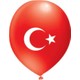 Seçili Renk Renkli