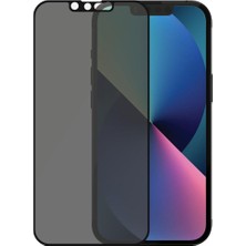 Smody  Apple iPhone 13 Max Gizli Hayalet Ekran Koruyucu Yandan Gözükmez