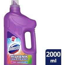 Domestos Leke Çıkarıcı Hijyenik Tüm Çamaşırlar 2lt