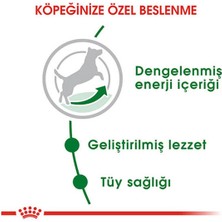 Royal Canin 4kg Mini Adult Yetişkin Köpek Maması