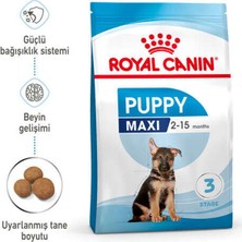 Royal Canin 10kg Maxi Puppy Yavru Köpek Maması