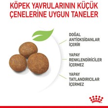 Royal Canin 10kg Maxi Puppy Yavru Köpek Maması