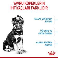 Royal Canin 10kg Maxi Puppy Yavru Köpek Maması