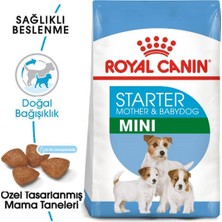 Royal Canin 4kg Mini Starter MotherBabydog Köpek Maması