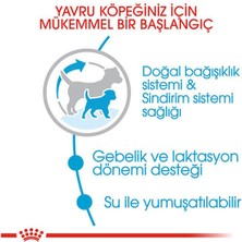 Royal Canin 4kg Mini Starter MotherBabydog Köpek Maması