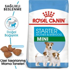 Royal Canin 3kg Mini Starter Mother&Amp;Babydog Köpek Maması